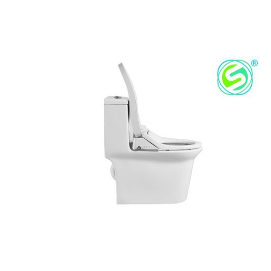 3093-I Intelligent Toilet