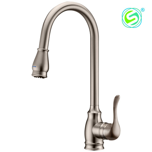 Kitchen Faucet N2070189Bn-C